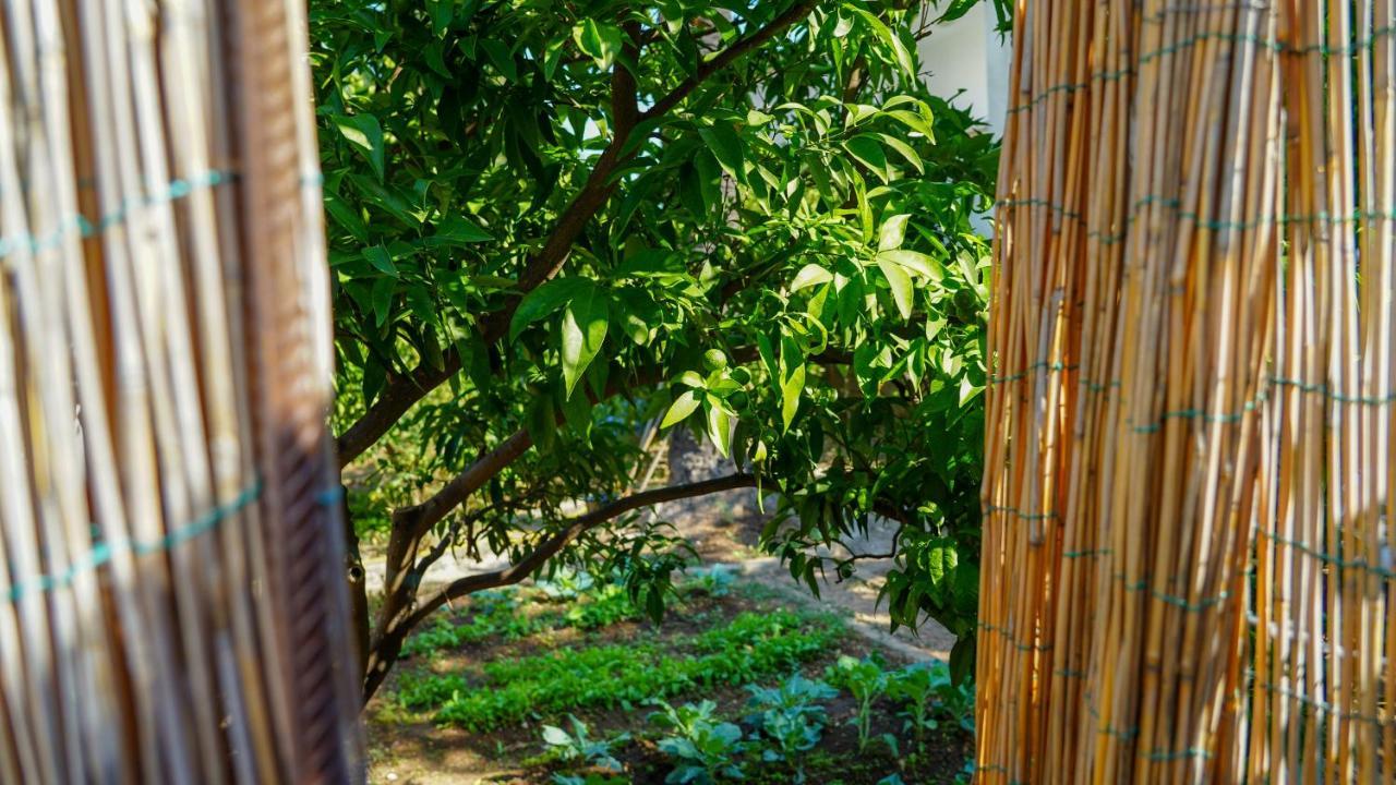 Charming Two-Bed Apartment Orange Garden Sutivan Exterior foto
